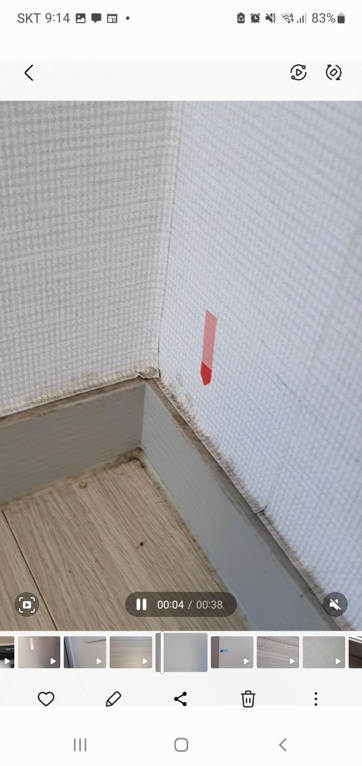 8번 째 사진