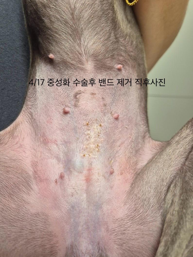 3번 째 사진
