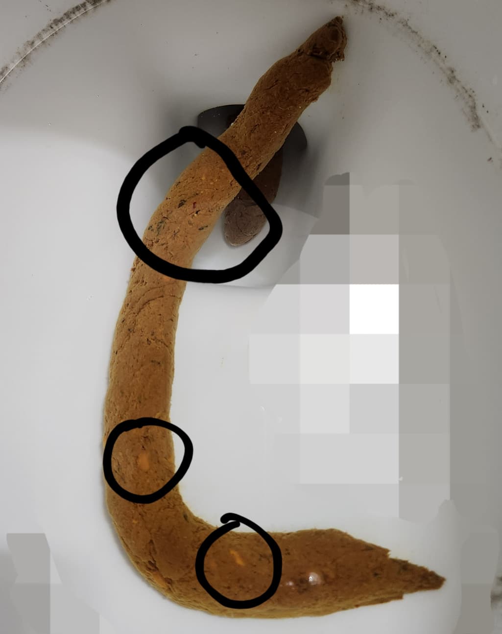 2번 째 사진