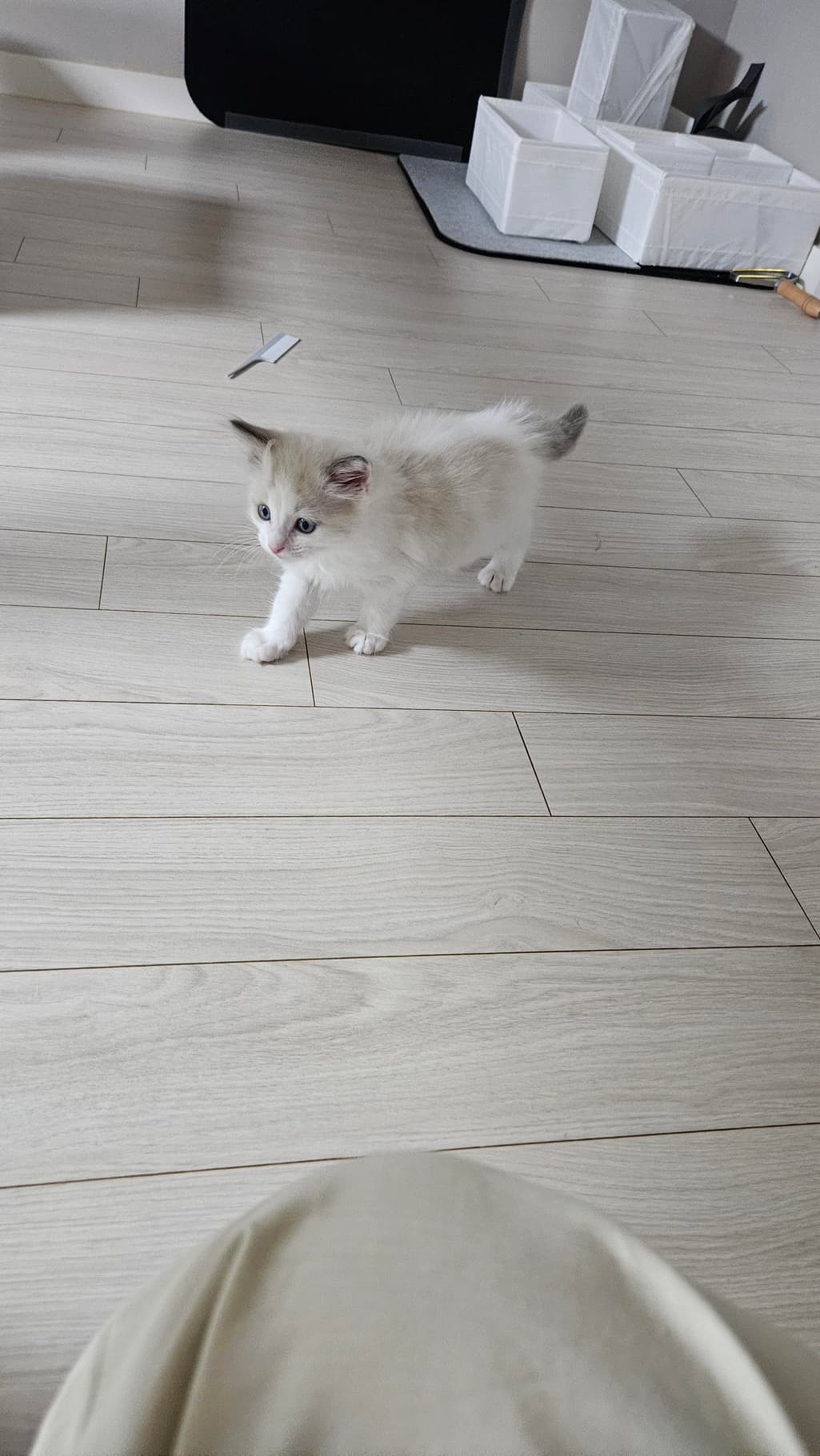 1번 째 사진