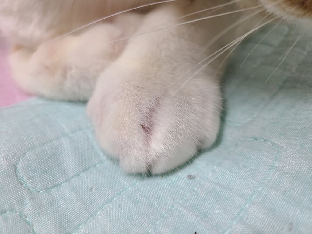 2번 째 사진