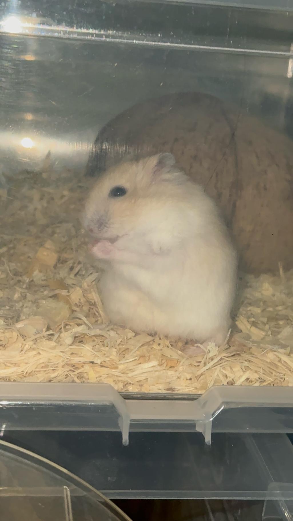 8번 째 사진