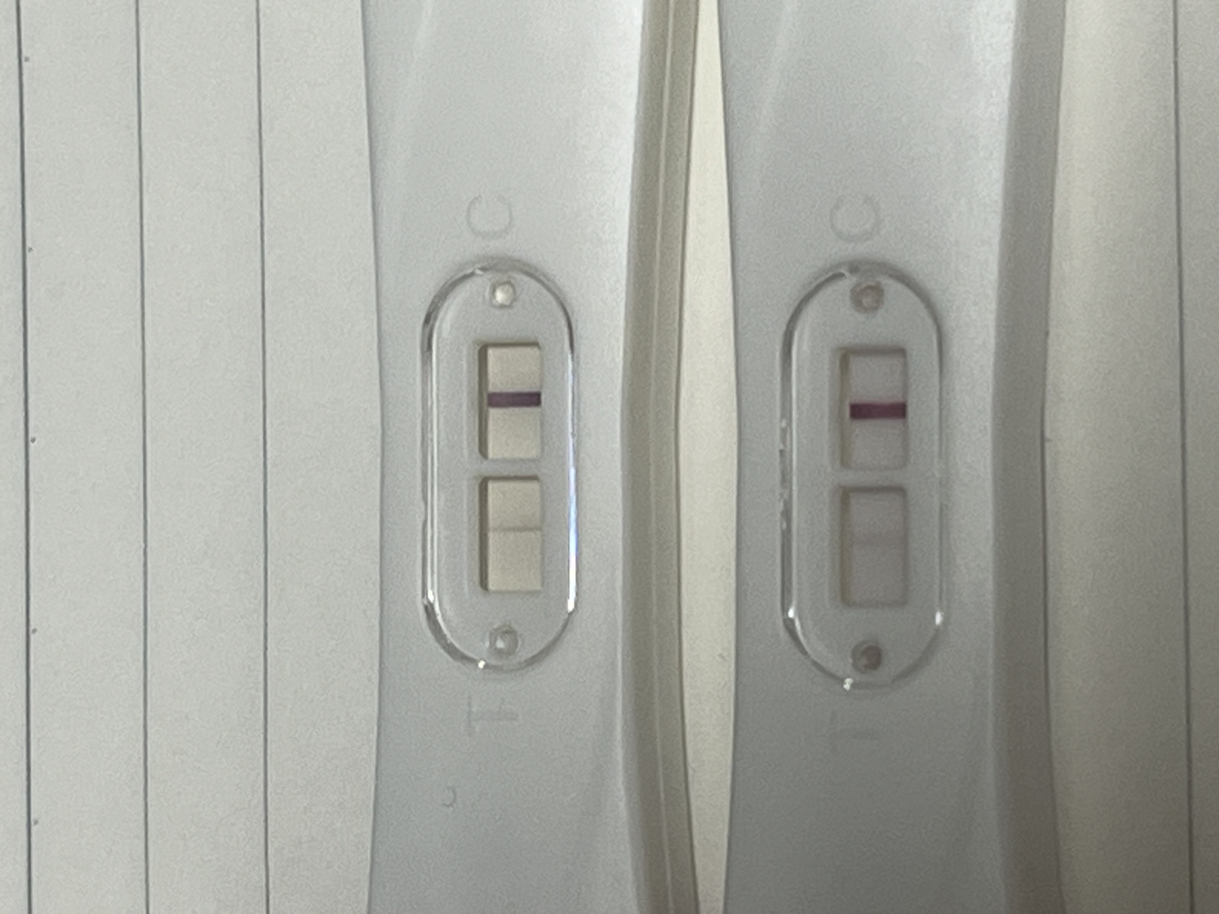 4번 째 사진