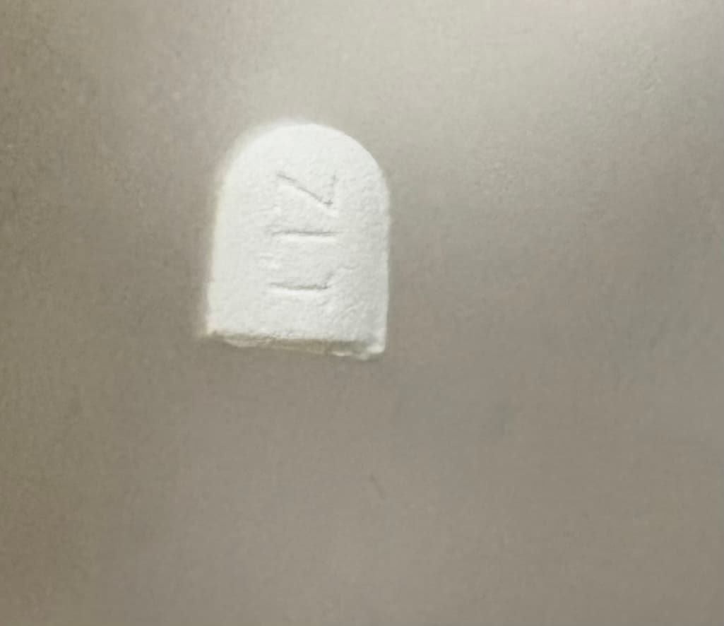2번 째 사진