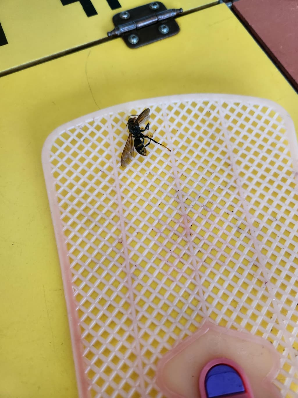 1번 째 사진