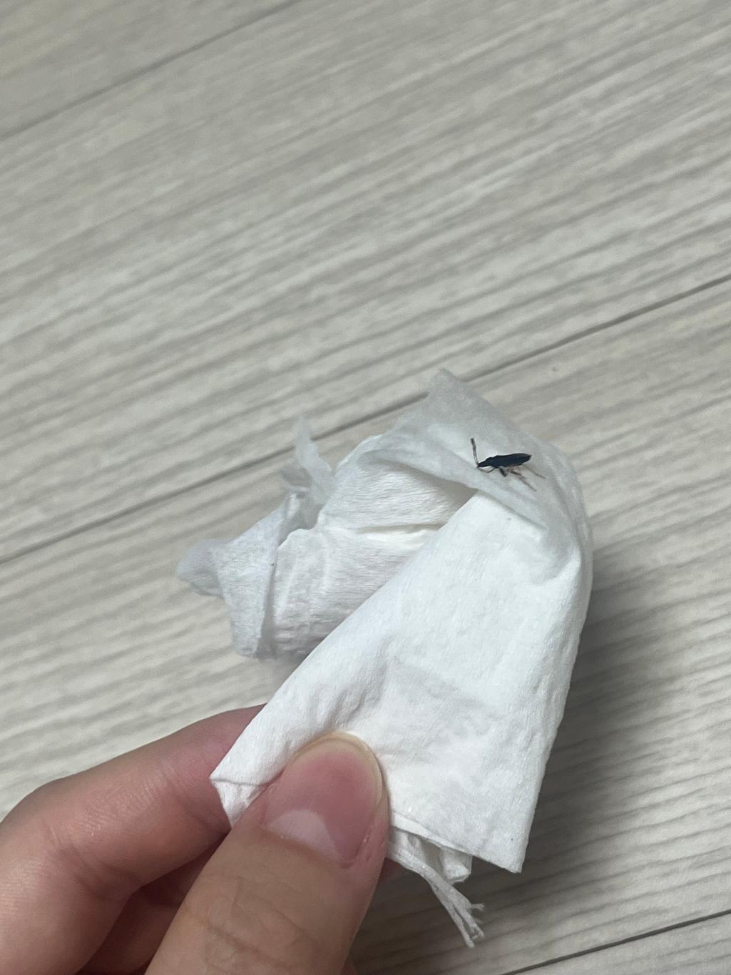 2번 째 사진