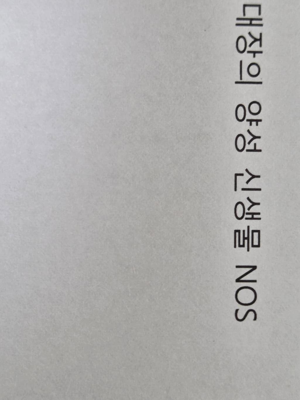 4번 째 사진