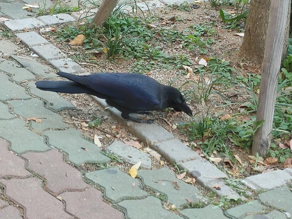 1번 째 사진