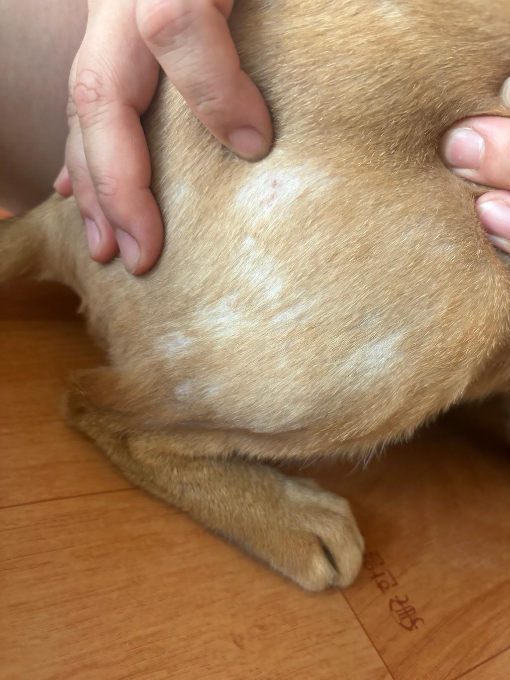 2번 째 사진