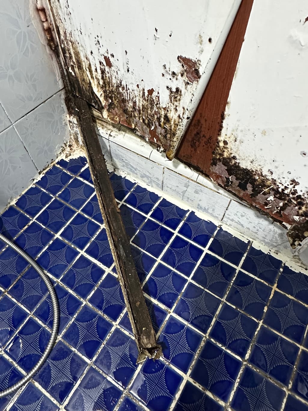 3번 째 사진