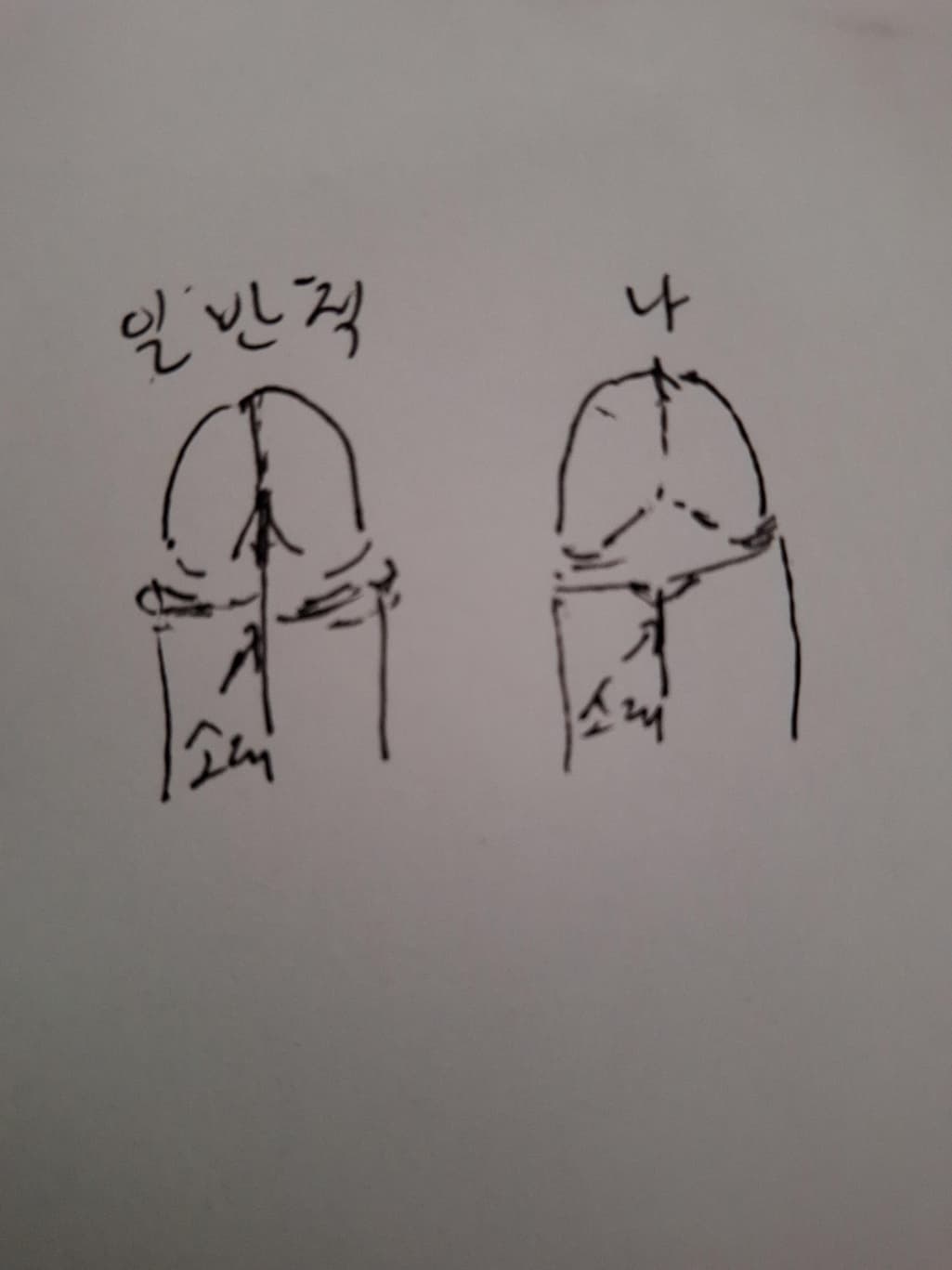 2번 째 사진