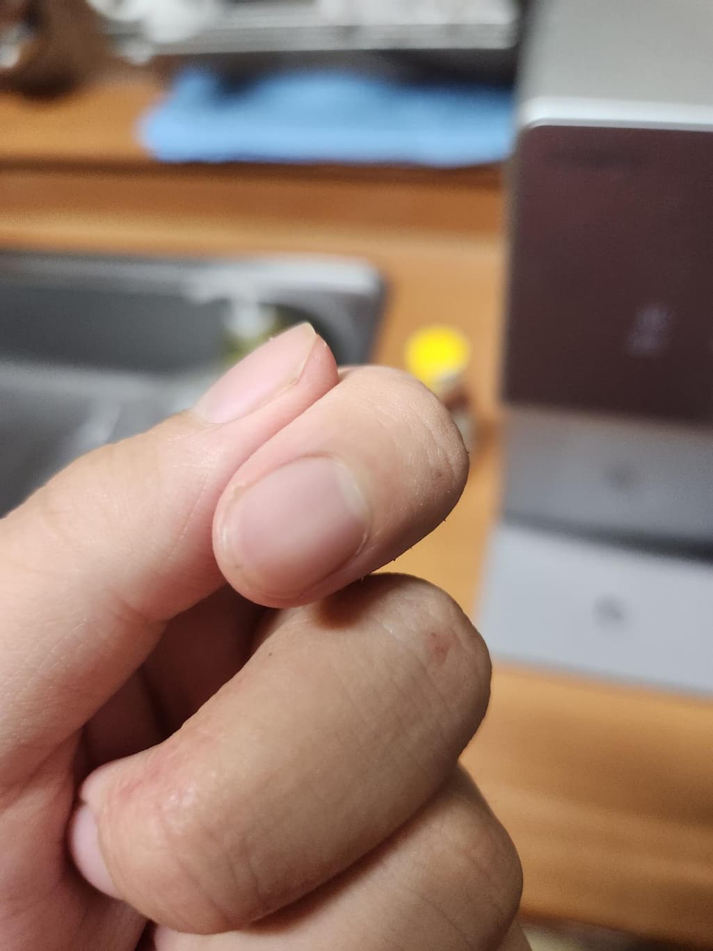 1번 째 사진