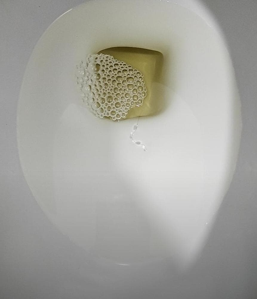 5번 째 사진
