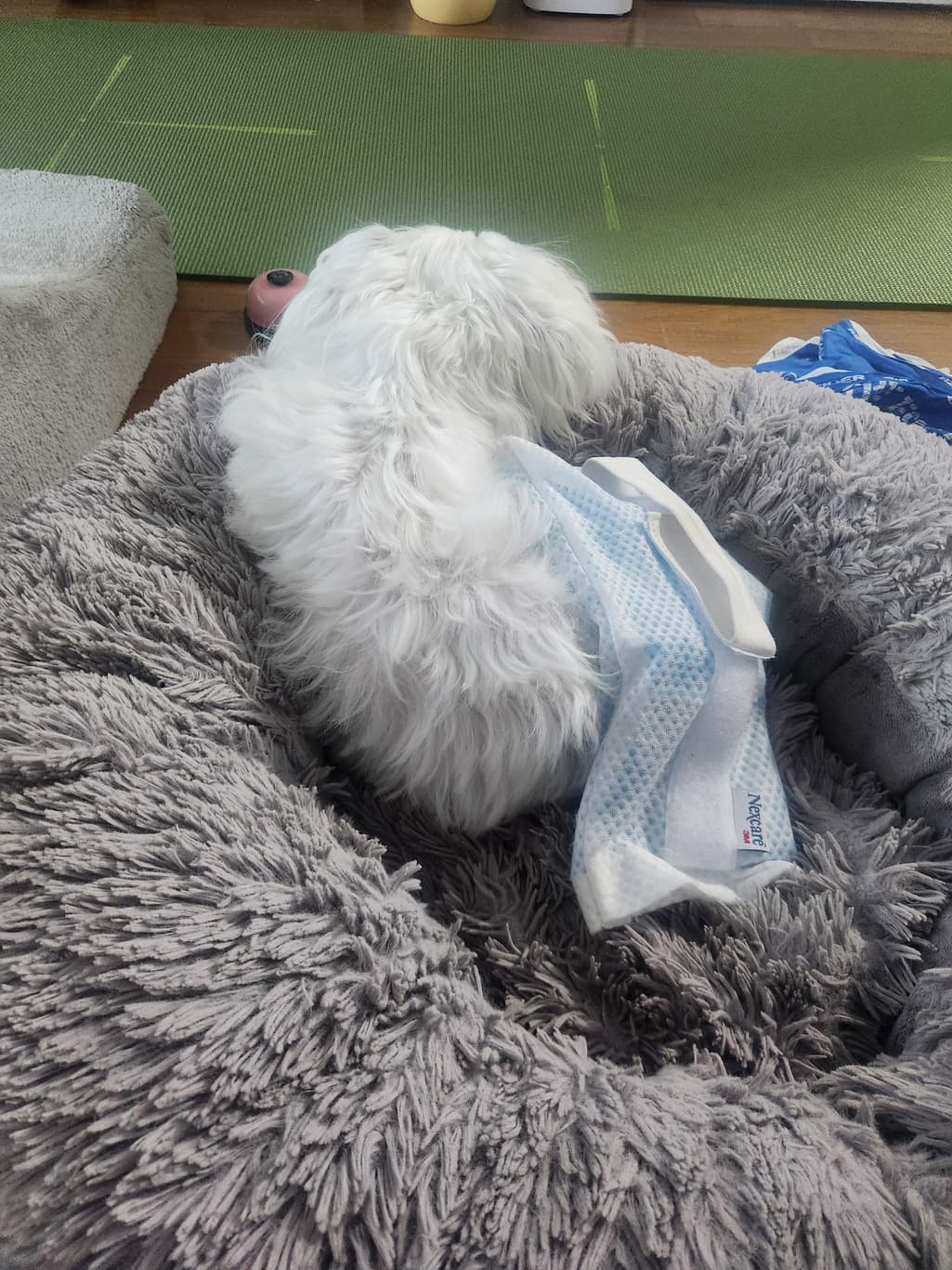 1번 째 사진