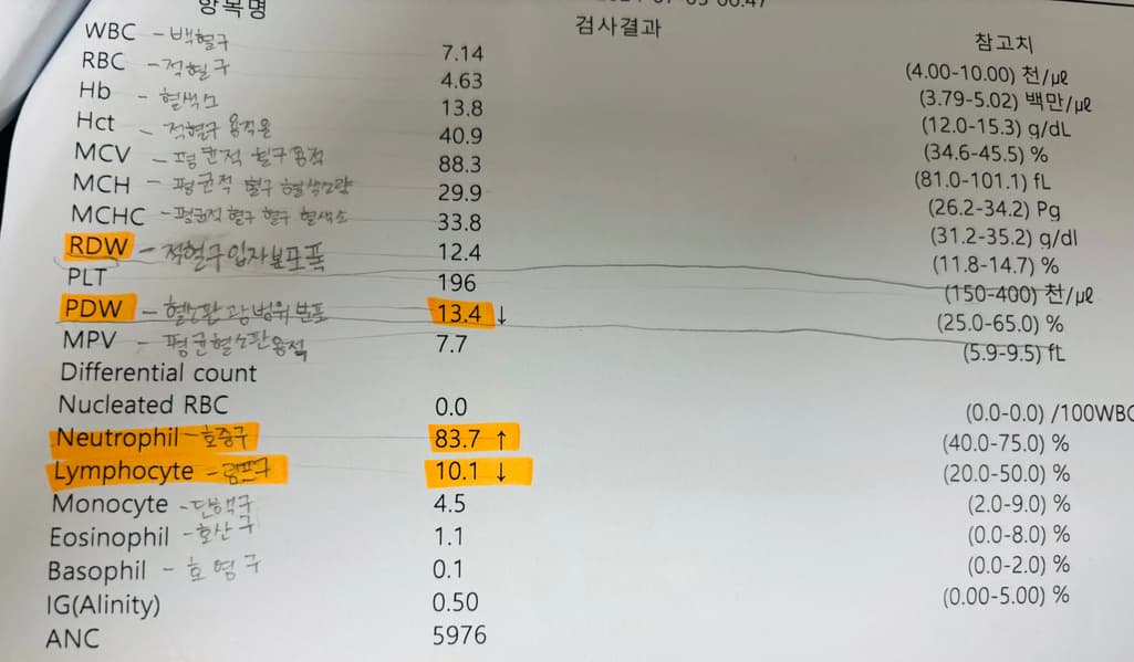 3번 째 사진