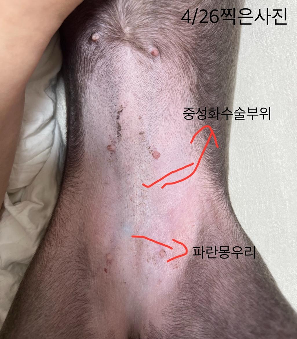 2번 째 사진