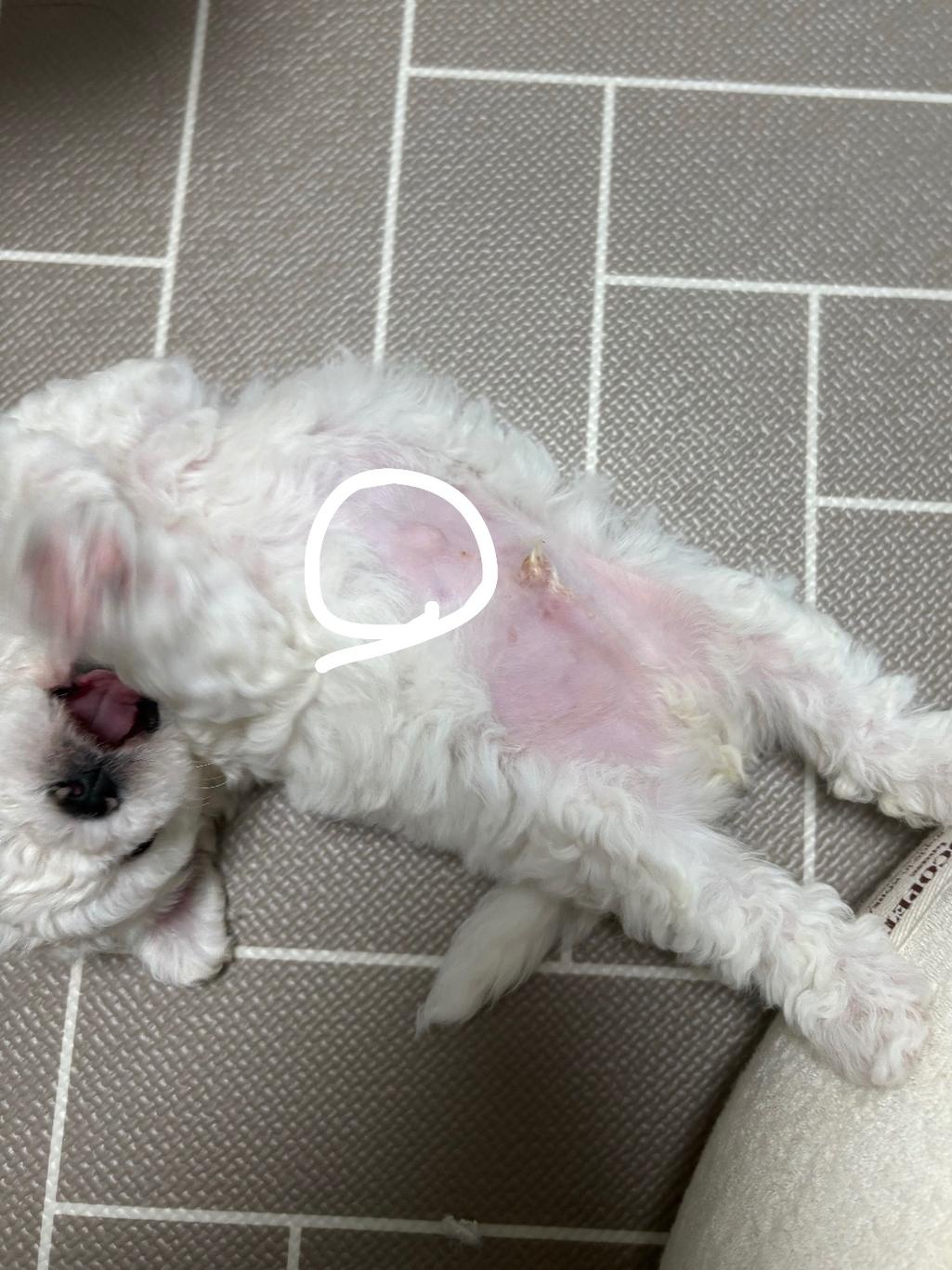 1번 째 사진