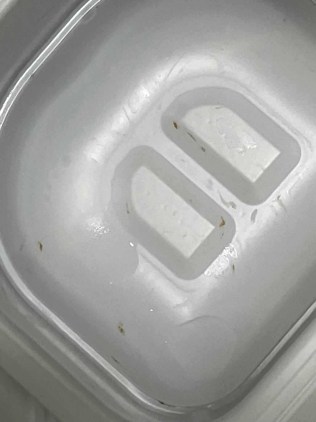 6번 째 사진