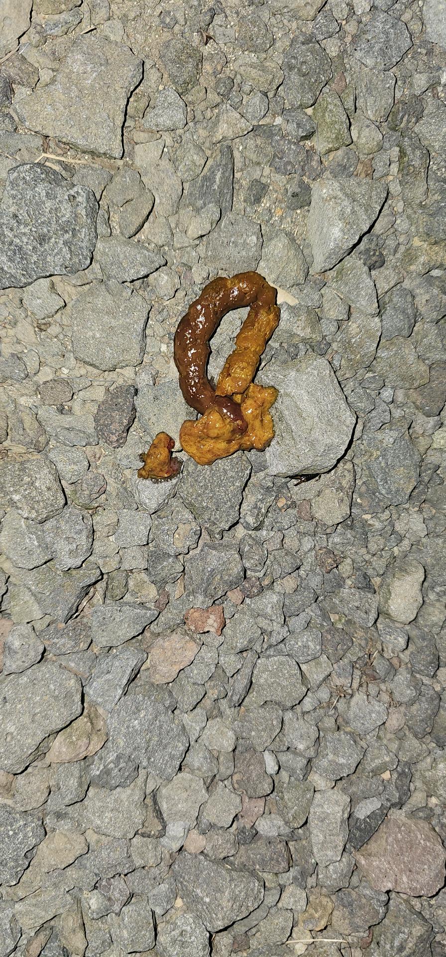 3번 째 사진