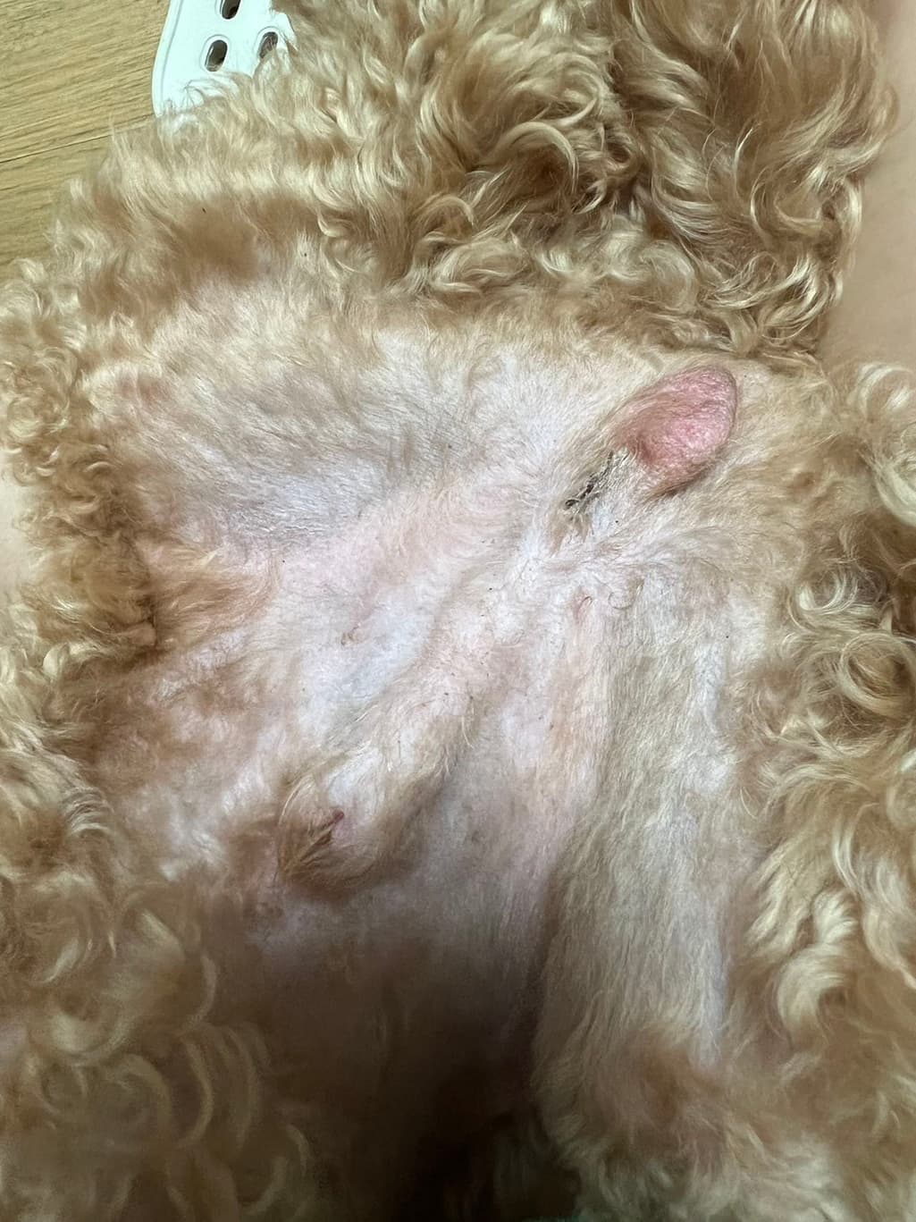 1번 째 사진