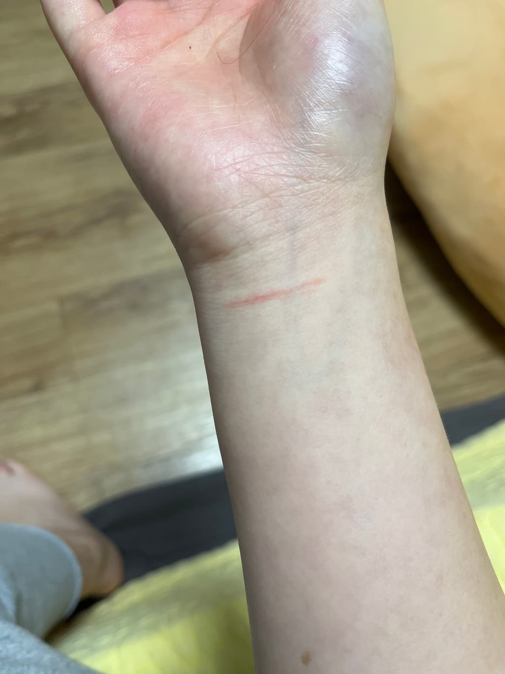 1번 째 사진
