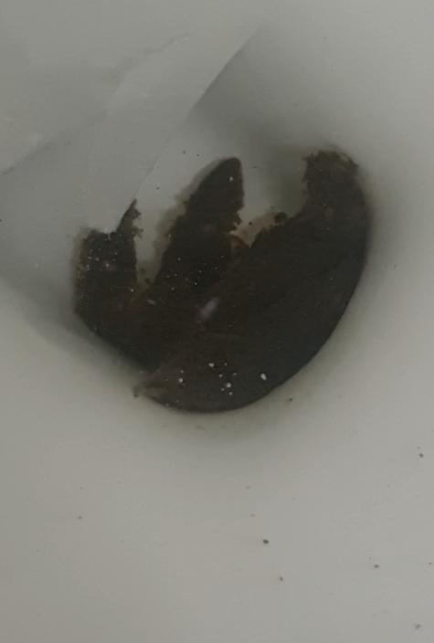 2번 째 사진
