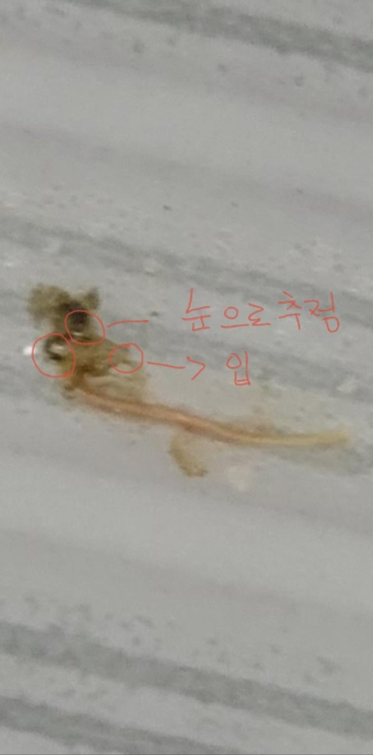 3번 째 사진