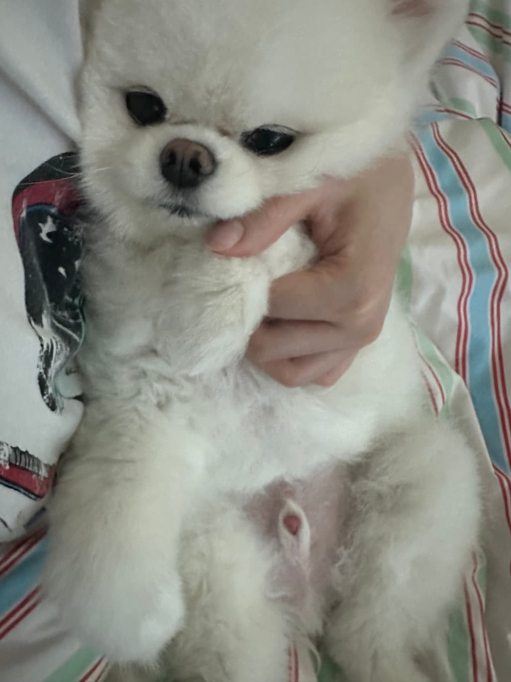 1번 째 사진