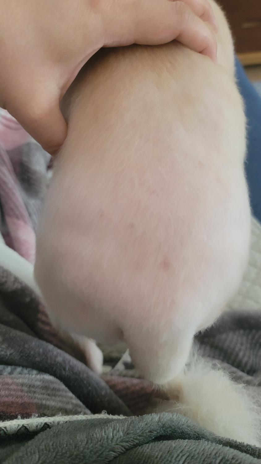 2번 째 사진