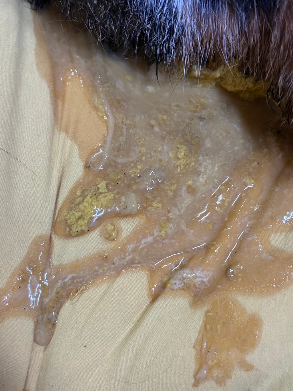 3번 째 사진