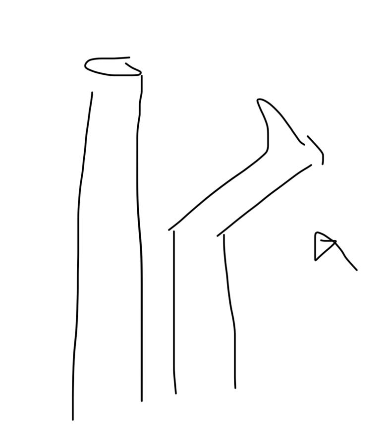 2번 째 사진