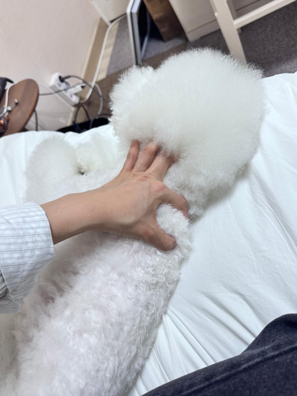 3번 째 사진