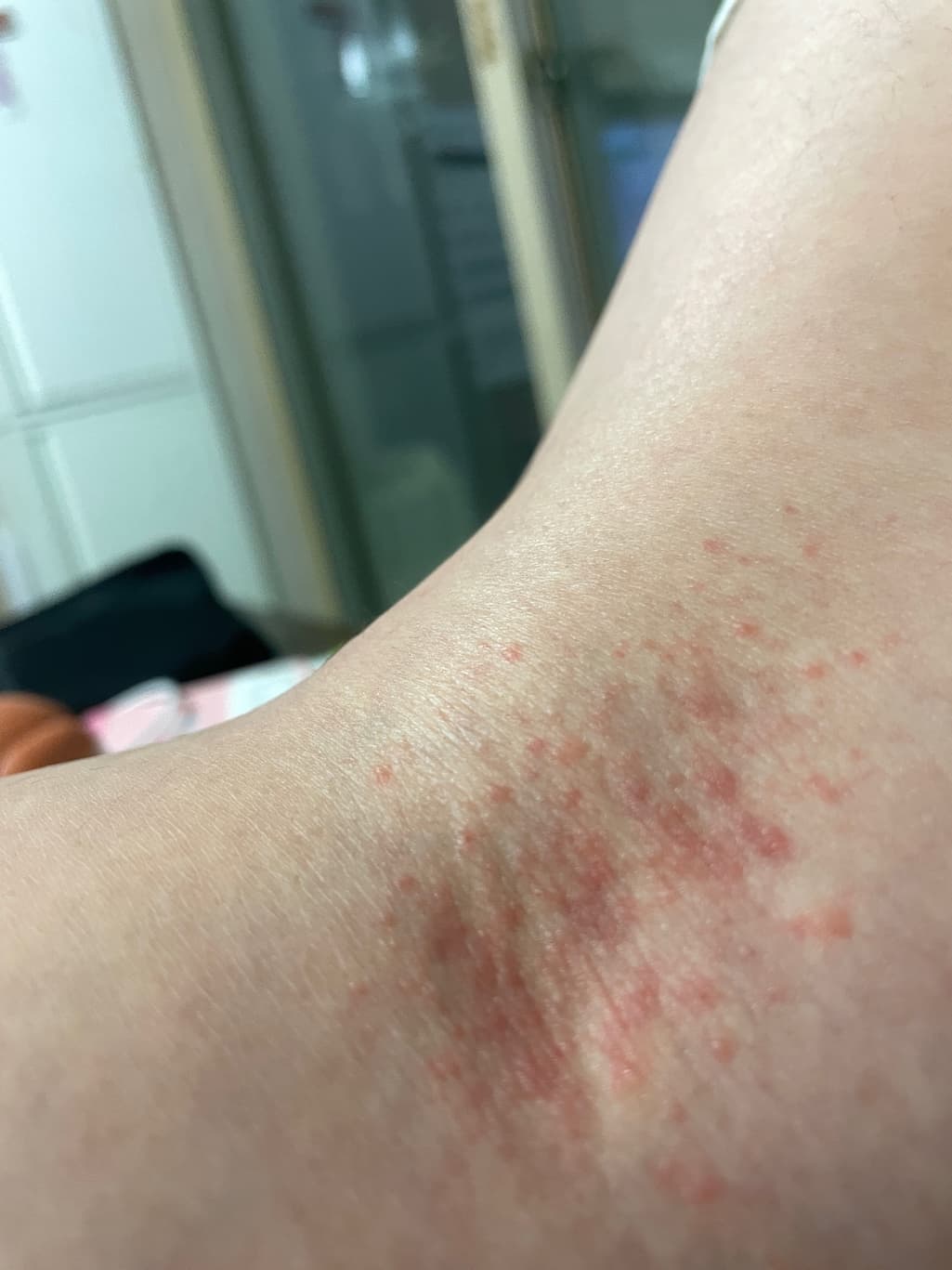 2번 째 사진