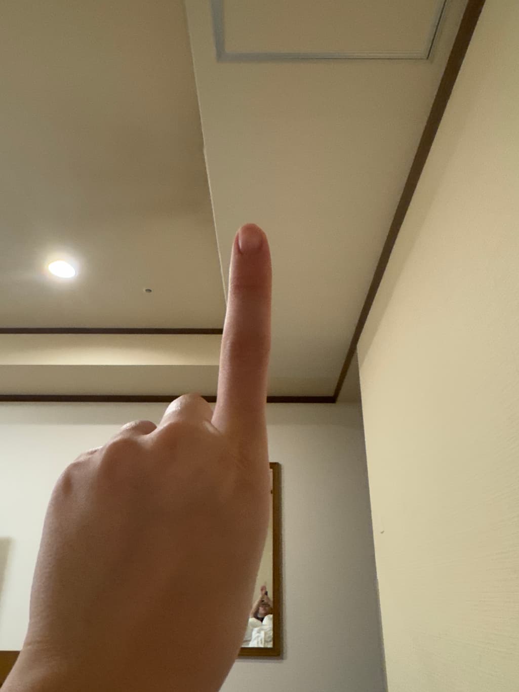 2번 째 사진
