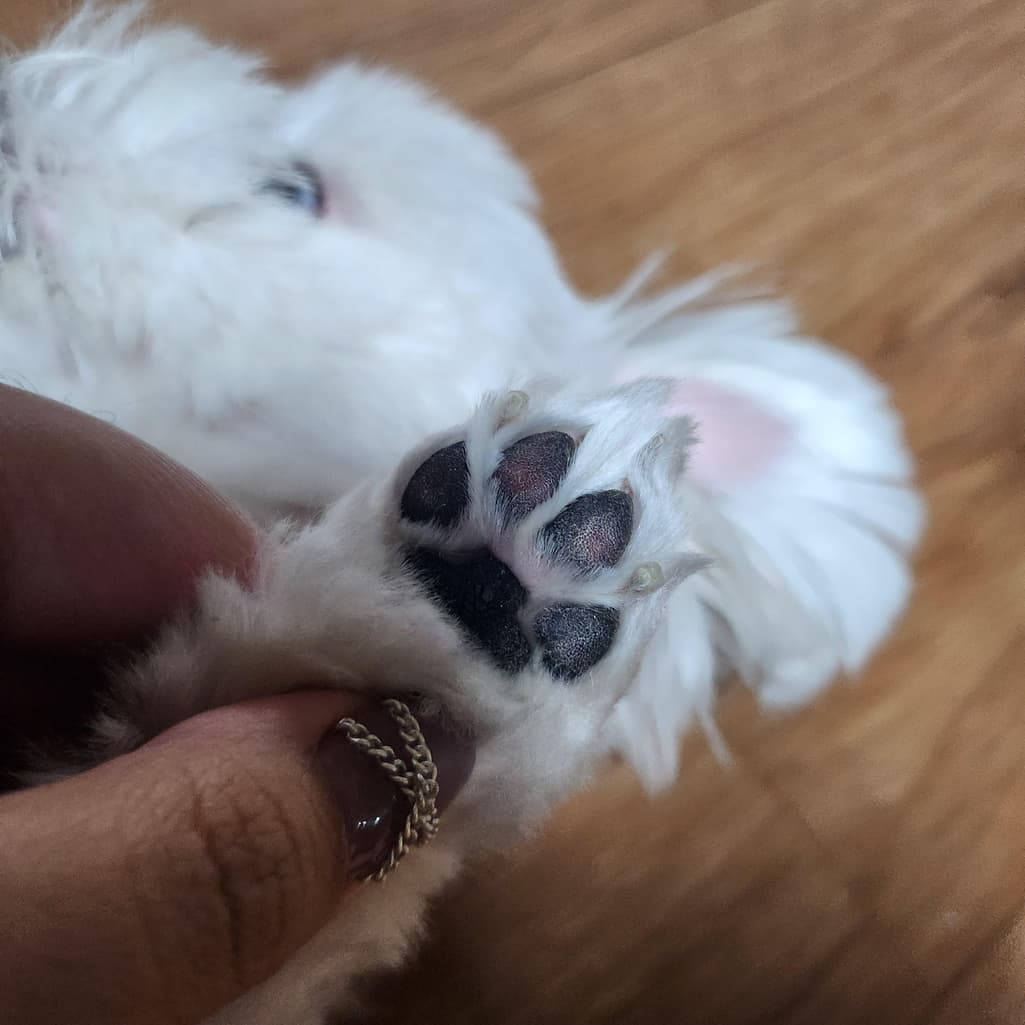 4번 째 사진