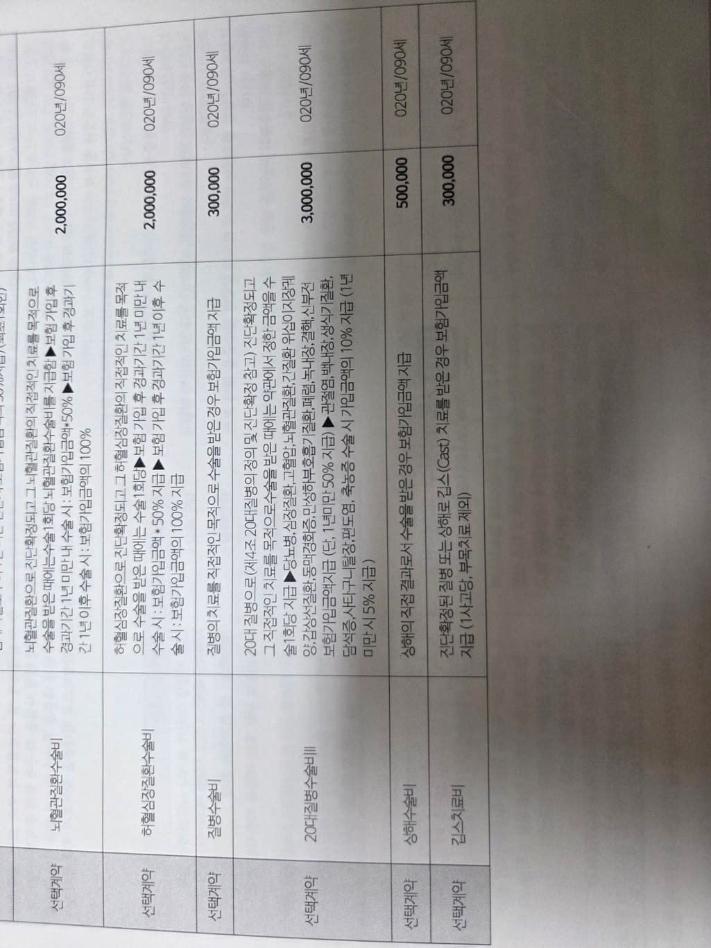9번 째 사진