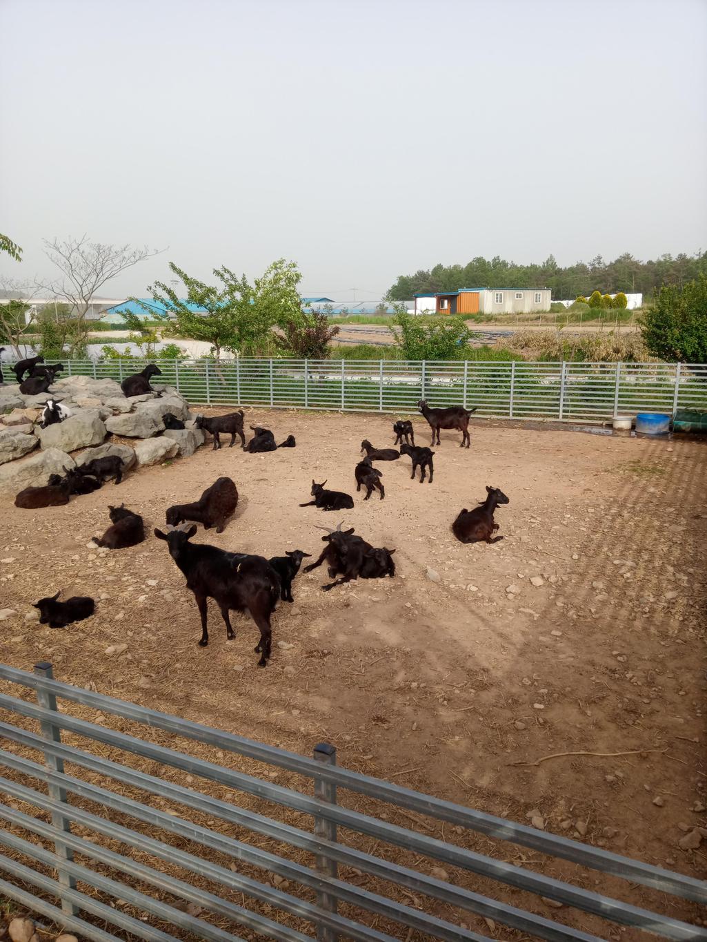 5번 째 사진