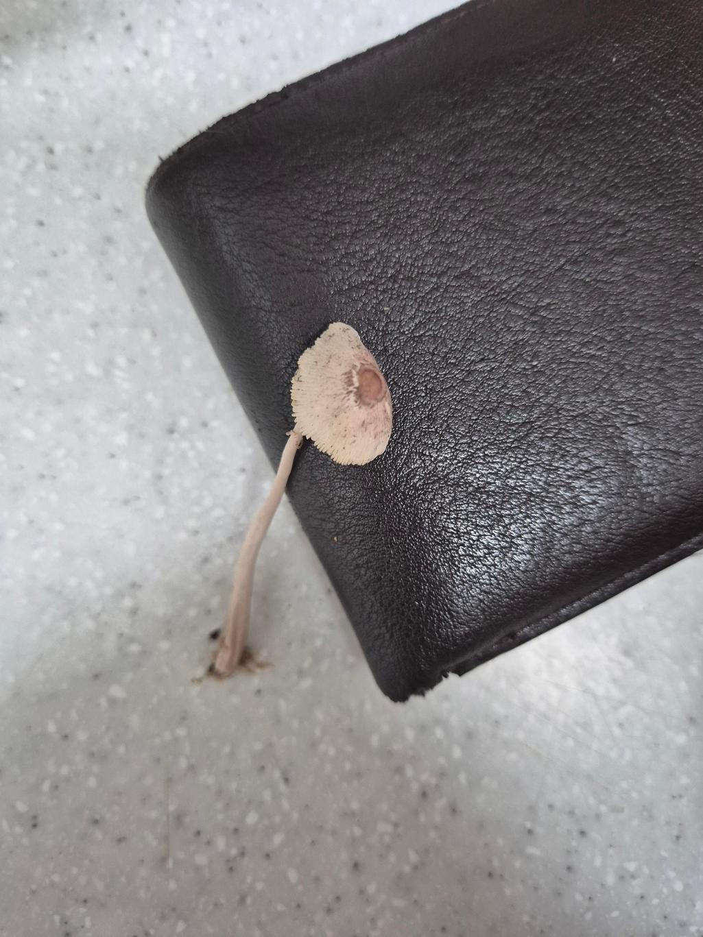 2번 째 사진
