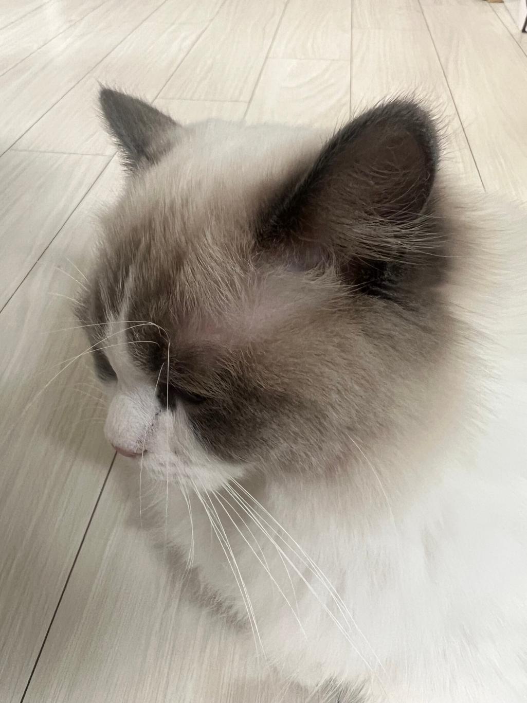 3번 째 사진