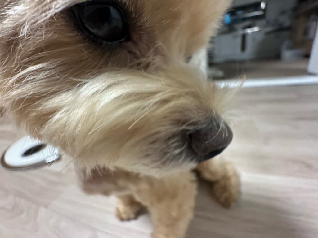 2번 째 사진