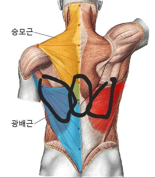 1번 째 사진