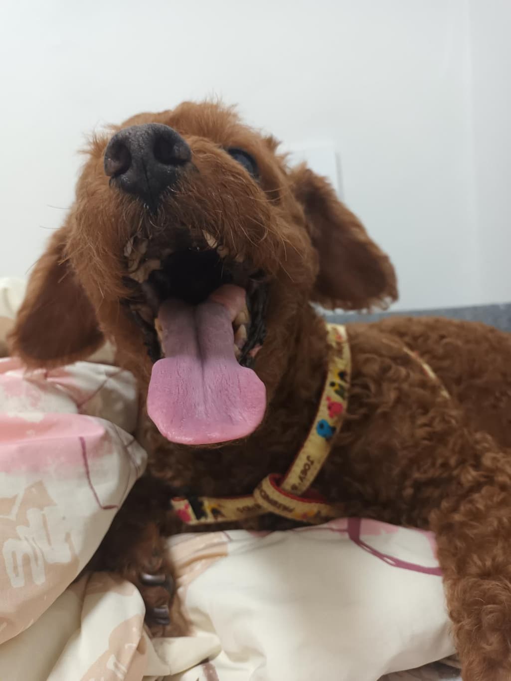 1번 째 사진