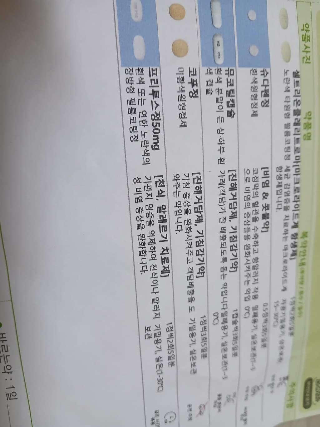 1번 째 사진