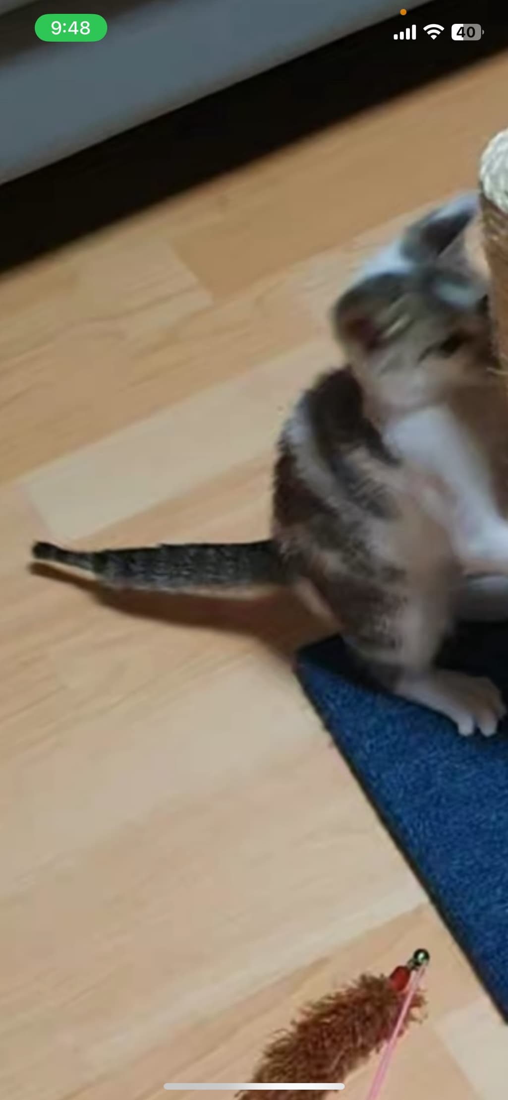 3번 째 사진