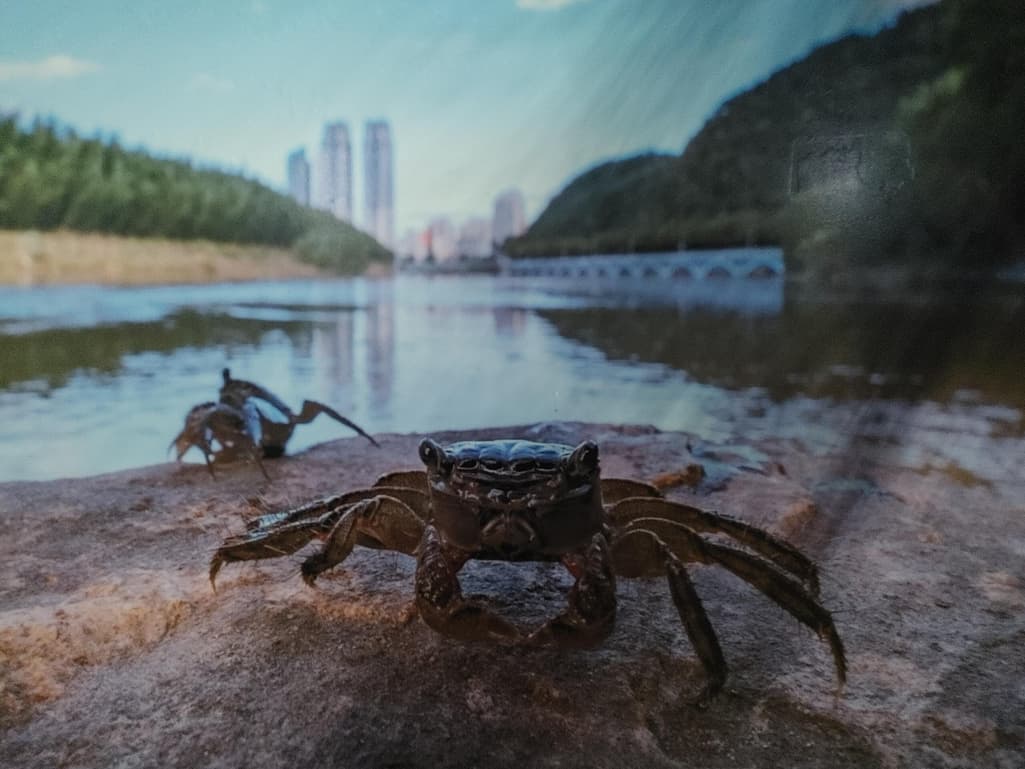 1번 째 사진