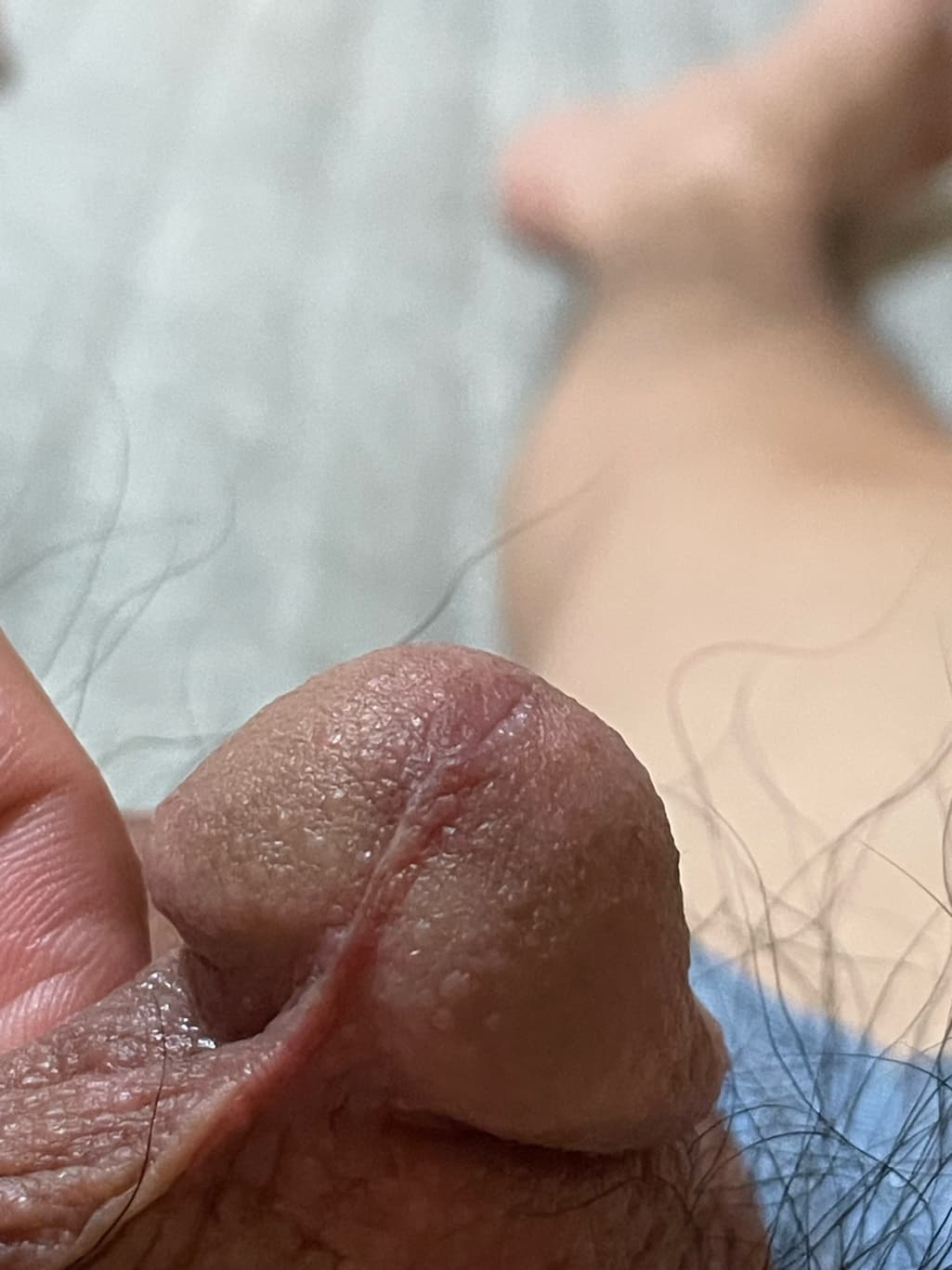 2번 째 사진