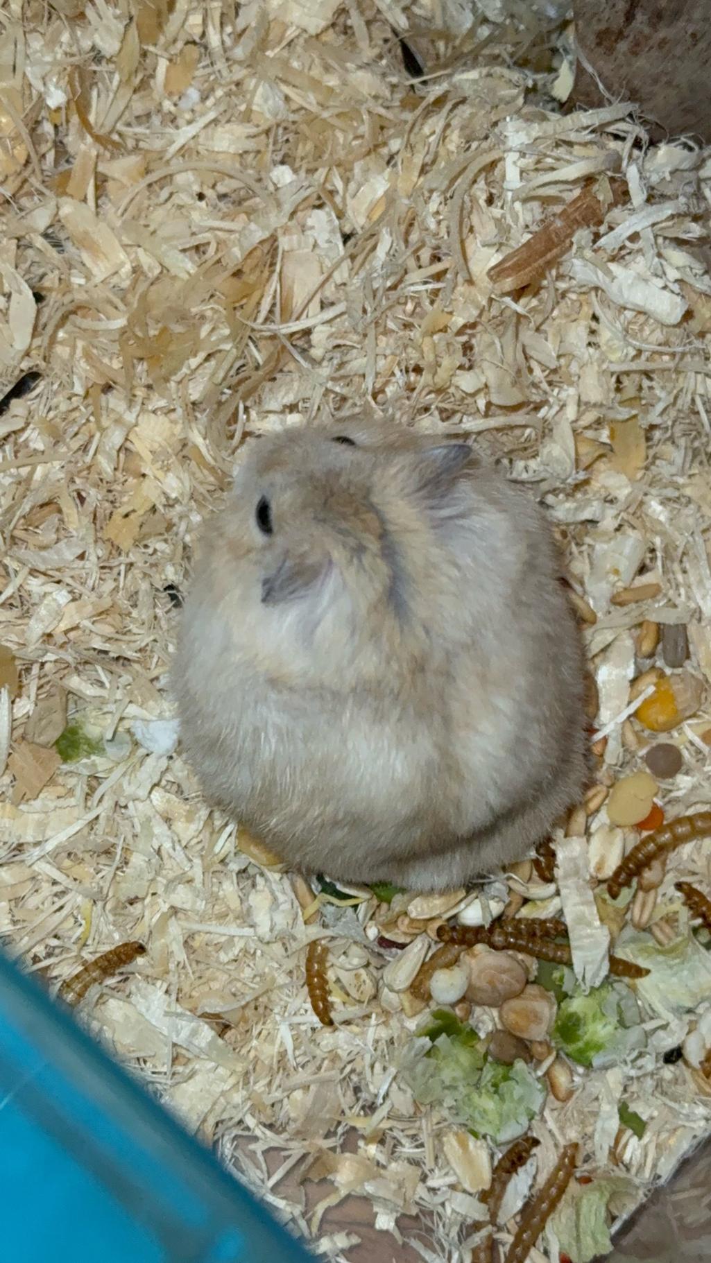4번 째 사진