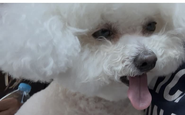 3번 째 사진