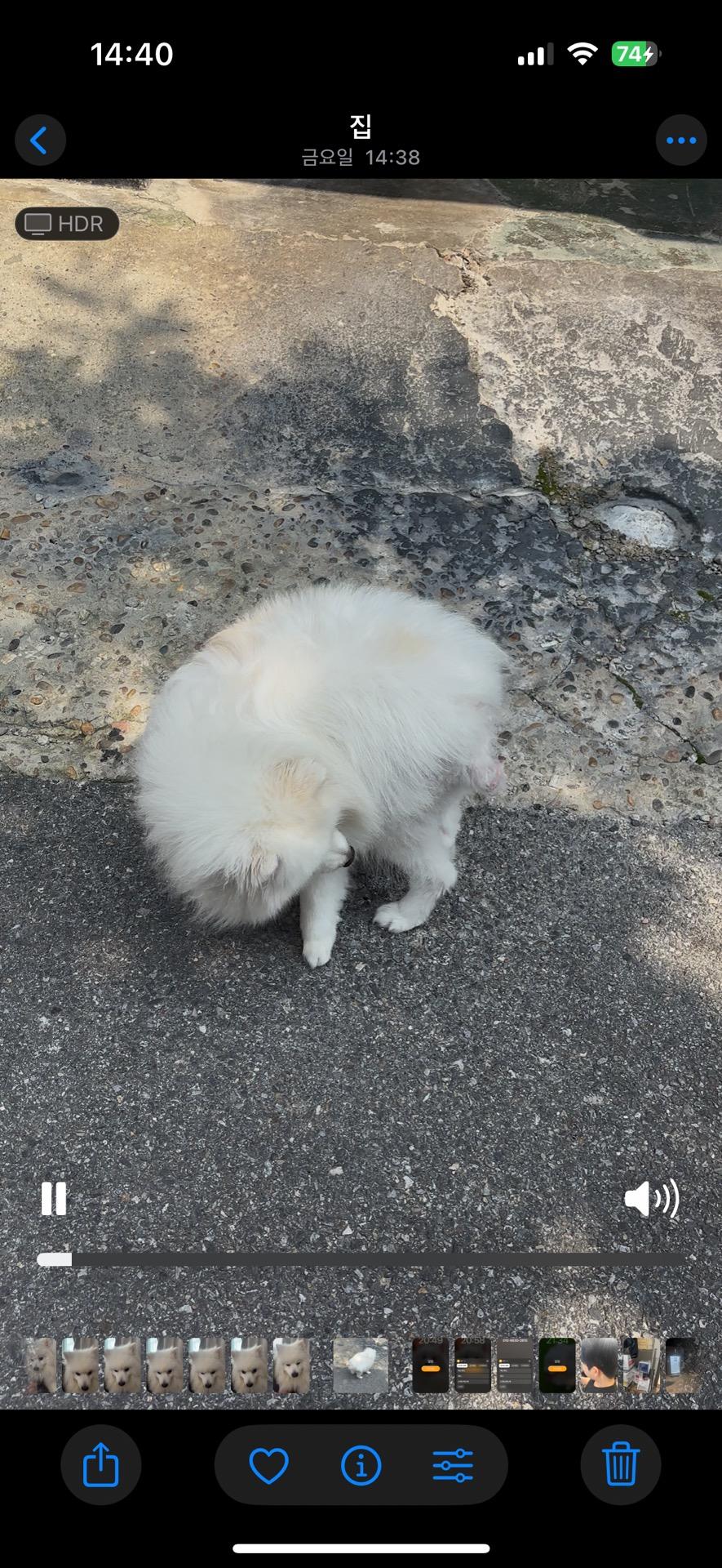 4번 째 사진