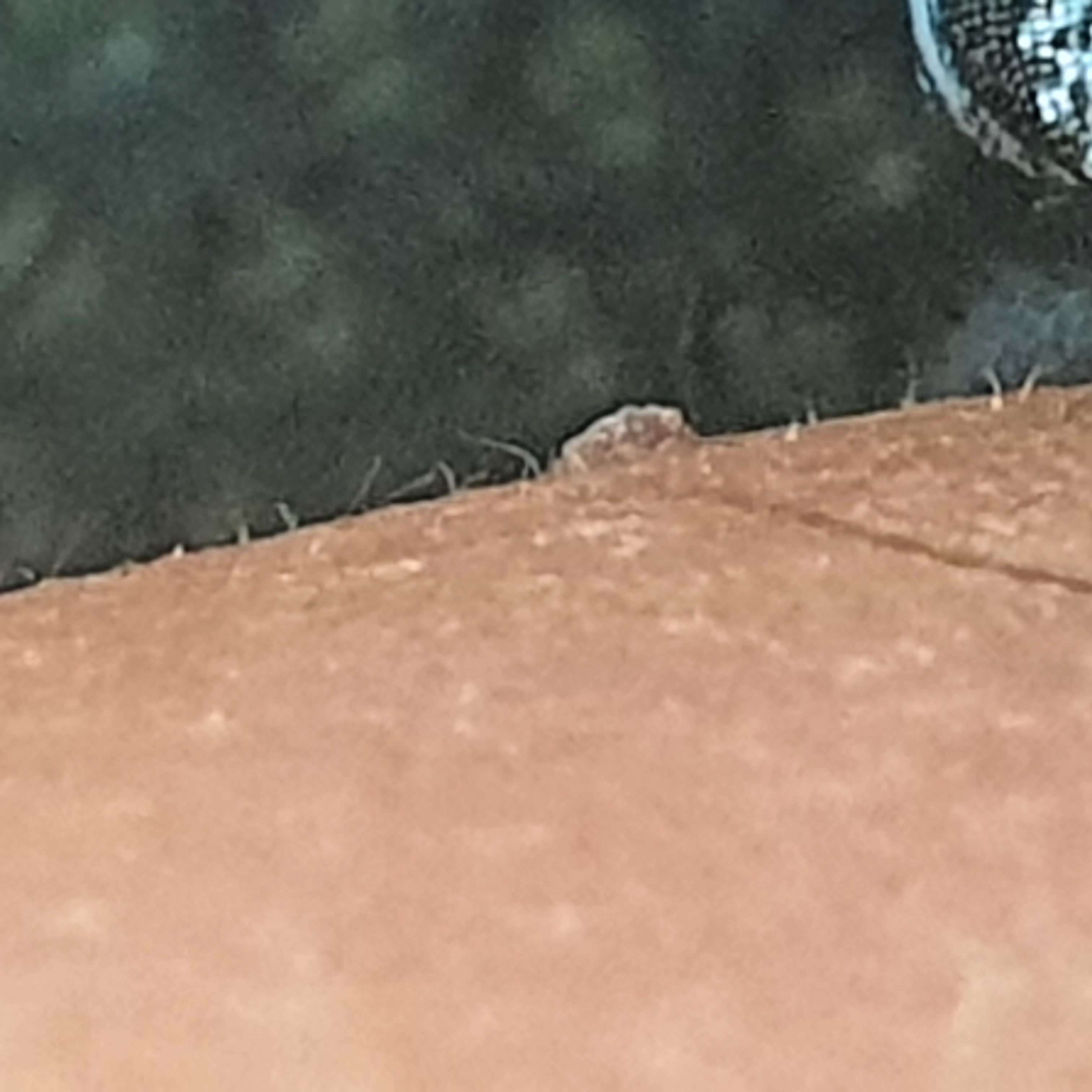 2번 째 사진